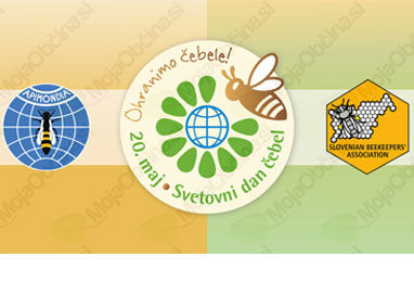 logo novice svetovni dan cebel1