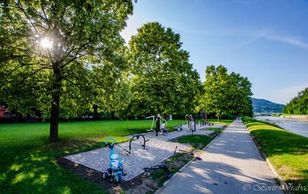 ZDRAVILIŠKI PARK