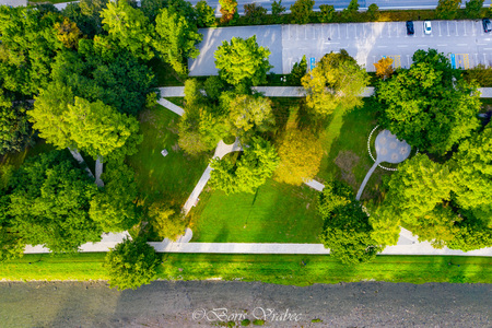 DJI_0419